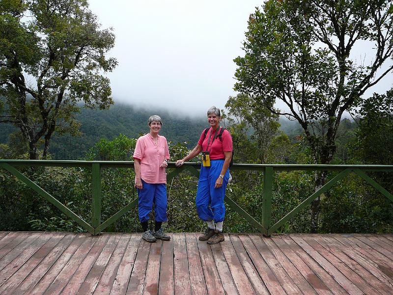 730 Leech forest hiking attire